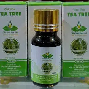 Alternative view of Tinh dầu Tea tree( tràm trà) 10ml
