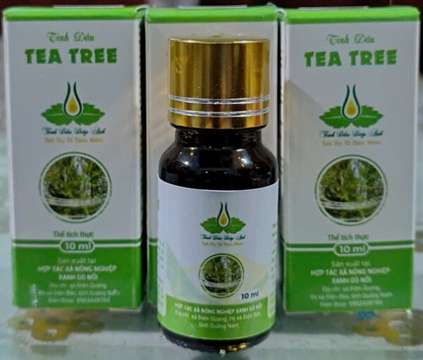 Tinh dầu Tea tree( tràm trà) 10ml - Ảnh 2