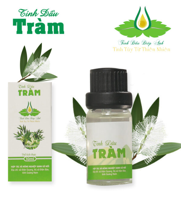 Tinh dầu tràm 10ml