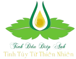 thaoduocxanhgonoi.com