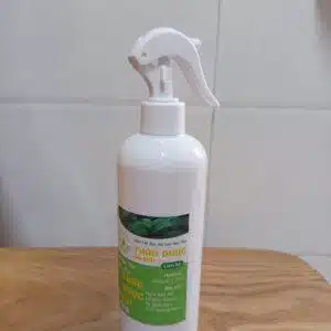 Nước Cất Bạc Hà Lau Bàn Thờ
